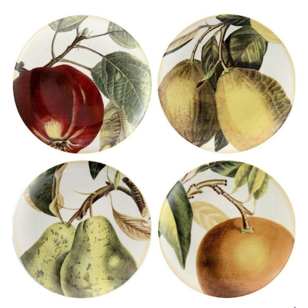 1 Box Set 4 Prima Donna Botanical Graphic Fruit Dessert Plates Porcelain Cottage